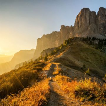 HSK Renodeco Wandverkleidung - Muster Seidenmatt, Fotodruck für die individuelle