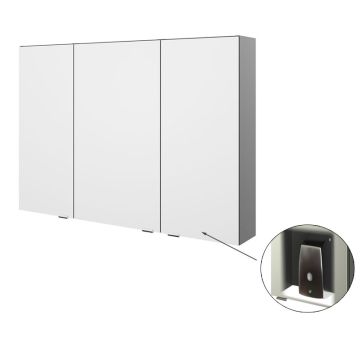 Pelipal Vario Select Spiegelschrank 100 cm